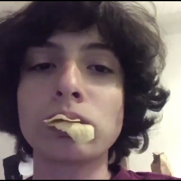 Meet your Posher, Gini - Picture 1 of 1